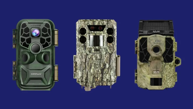 8 Best Trail Cameras for Wildlife Hiking in 2026
